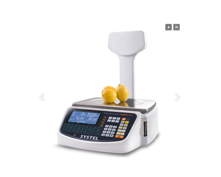 BALANZA ELECTRICA SYSTEL CUORA MAX 30KG C/MASTIL (TICKET)